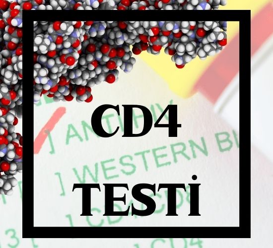 CD4 Testi