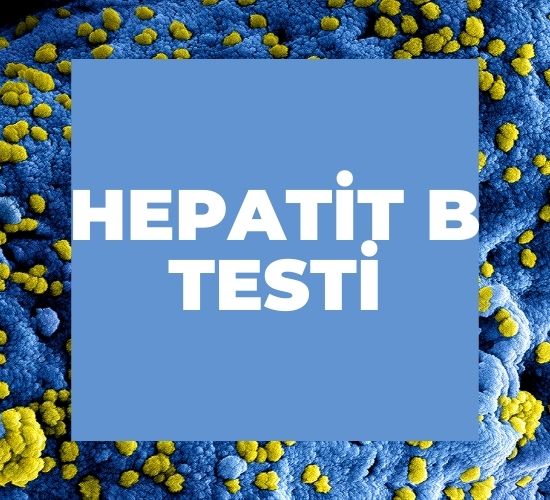 Hepatit B Testi
