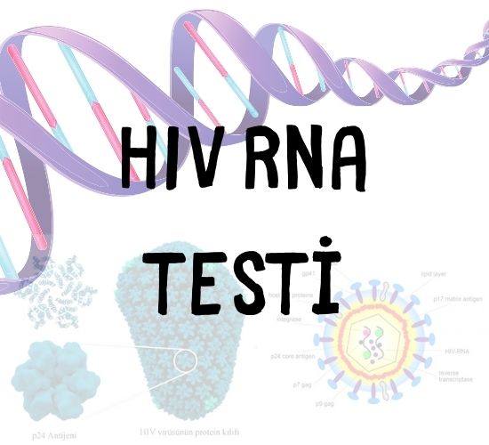 HIV RNA Pcr Testi